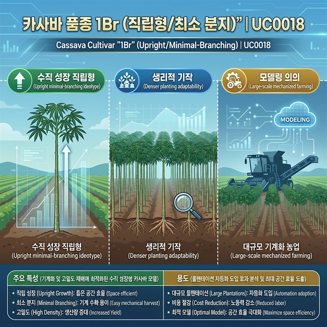 Genetic Coefficients Infographic